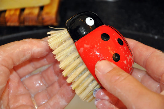 Ladybug Kidz Brush